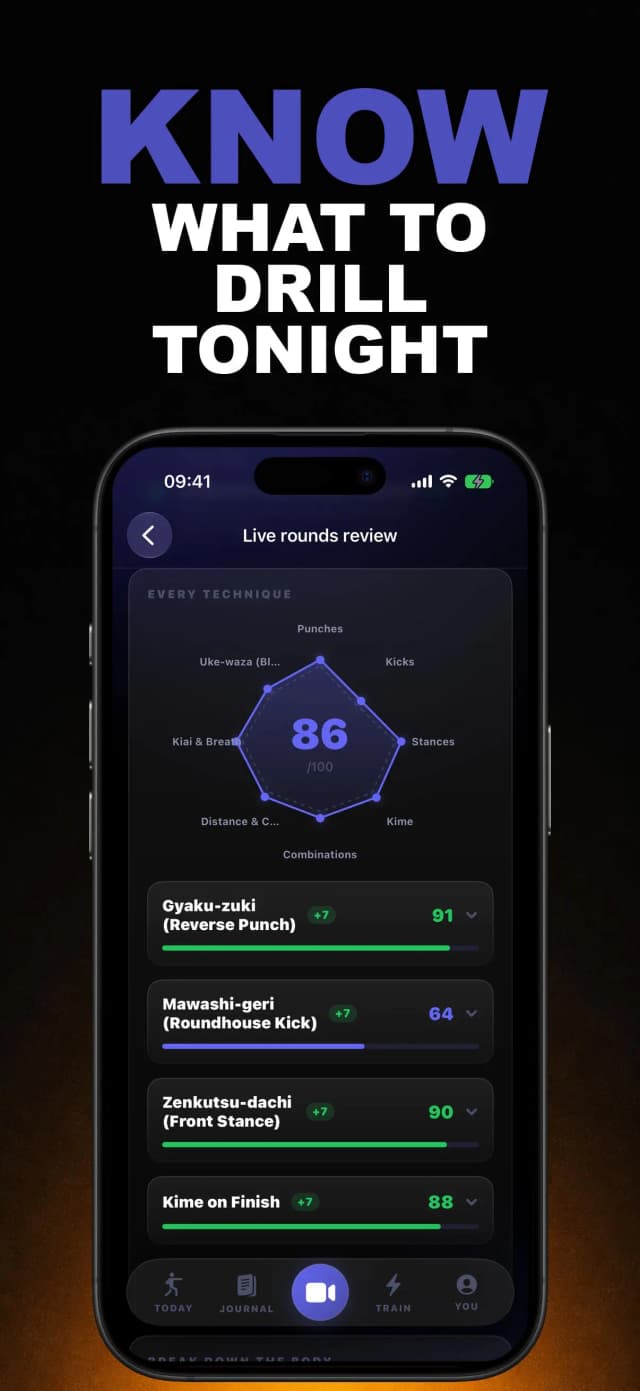 Karate AI app screen 2